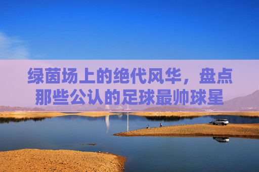 绿茵场上的绝代风华，盘点那些公认的足球最帅球星