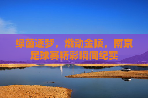 绿茵逐梦，燃动金陵，南京足球赛精彩瞬间纪实