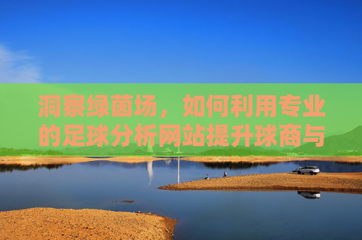 洞察绿茵场，如何利用专业的足球分析网站提升球商与决策力
