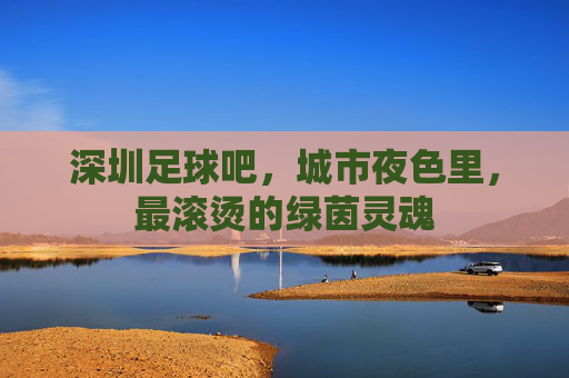 深圳足球吧，城市夜色里，最滚烫的绿茵灵魂