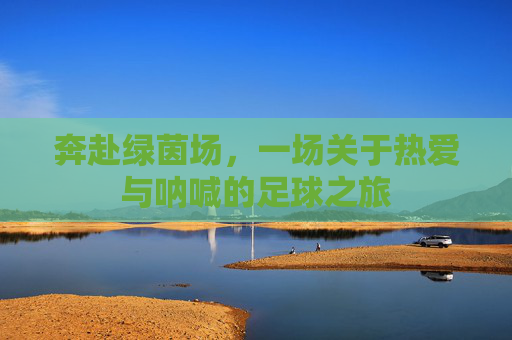 奔赴绿茵场，一场关于热爱与呐喊的足球之旅