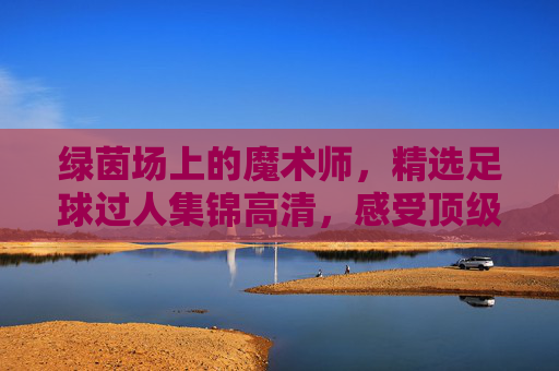 绿茵场上的魔术师，精选足球过人集锦高清，感受顶级球星的无解盘带
