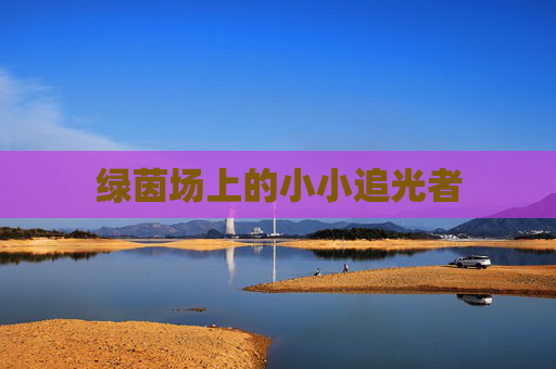 绿茵场上的小小追光者