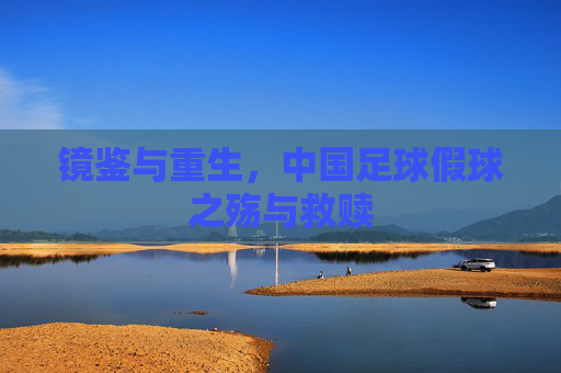 镜鉴与重生，中国足球假球之殇与救赎