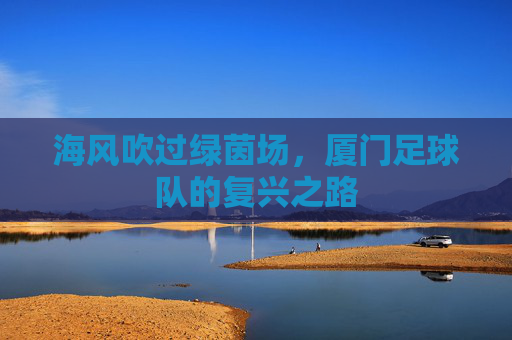 海风吹过绿茵场，厦门足球队的复兴之路