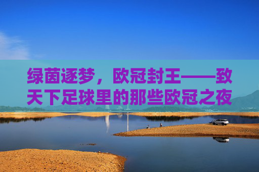 绿茵逐梦，欧冠封王——致天下足球里的那些欧冠之夜