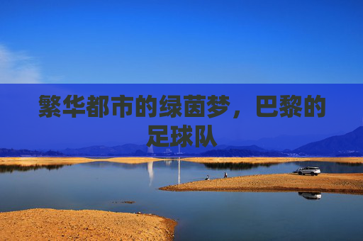 繁华都市的绿茵梦，巴黎的足球队