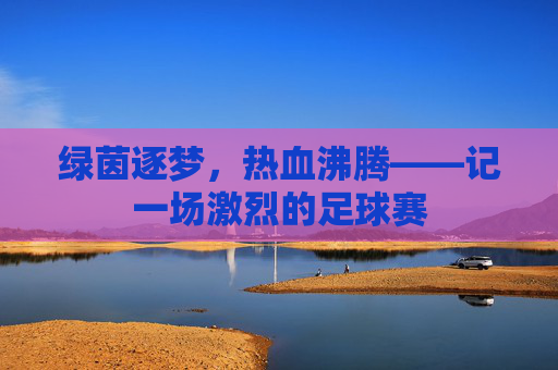 绿茵逐梦，热血沸腾——记一场激烈的足球赛