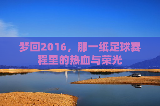 梦回2016，那一纸足球赛程里的热血与荣光