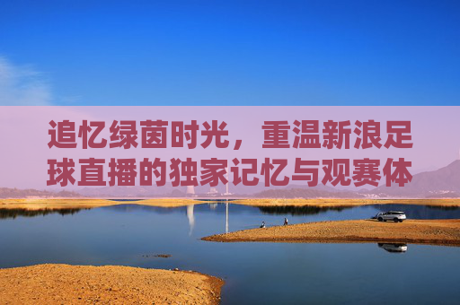 追忆绿茵时光，重温新浪足球直播的独家记忆与观赛体验