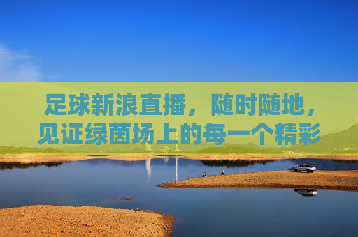 足球新浪直播，随时随地，见证绿茵场上的每一个精彩瞬间