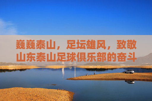 巍巍泰山，足坛雄风，致敬山东泰山足球俱乐部的奋斗与荣耀