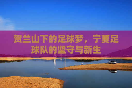 贺兰山下的足球梦，宁夏足球队的坚守与新生