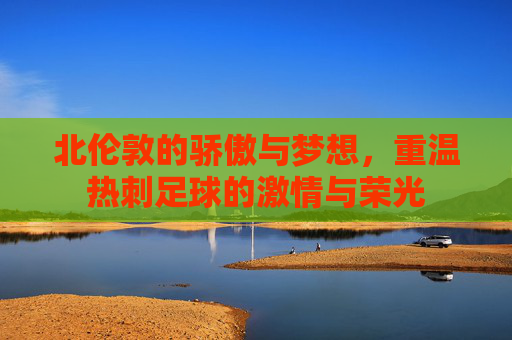 北伦敦的骄傲与梦想，重温热刺足球的激情与荣光