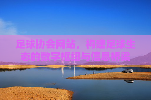 足球协会网站，构建足球生态的数字枢纽与信息桥梁