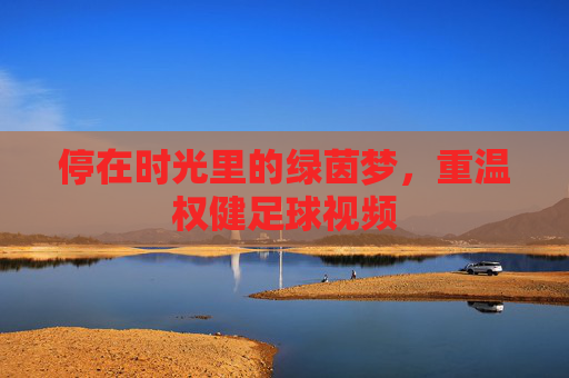 停在时光里的绿茵梦，重温权健足球视频