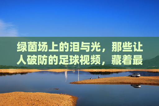 绿茵场上的泪与光，那些让人破防的足球视频，藏着最纯粹的热爱