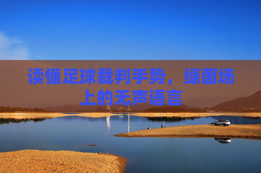 读懂足球裁判手势，绿茵场上的无声语言