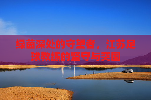 绿茵深处的守望者，江苏足球教练的坚守与突围