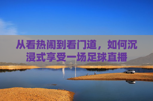 从看热闹到看门道，如何沉浸式享受一场足球直播