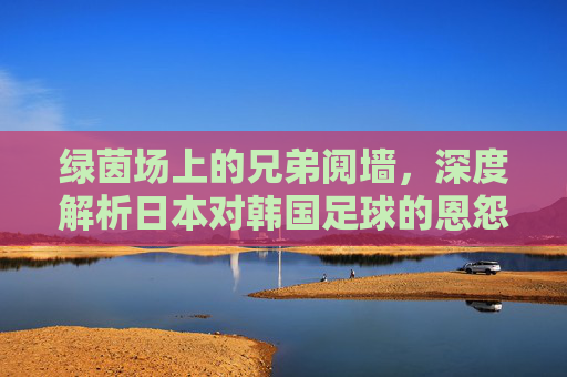 绿茵场上的兄弟阋墙，深度解析日本对韩国足球的恩怨与宿命