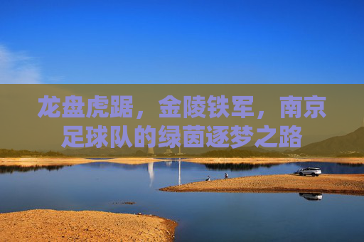 龙盘虎踞，金陵铁军，南京足球队的绿茵逐梦之路