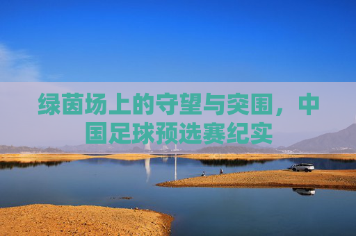 绿茵场上的守望与突围，中国足球预选赛纪实