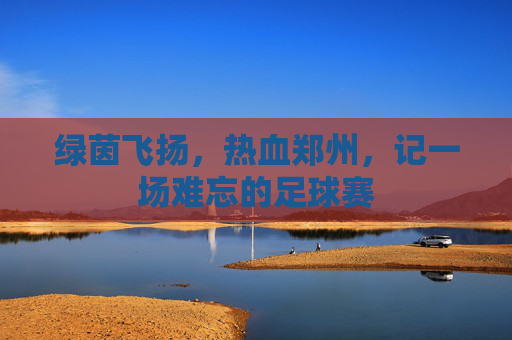 绿茵飞扬，热血郑州，记一场难忘的足球赛