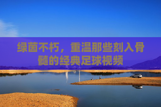 绿茵不朽，重温那些刻入骨髓的经典足球视频