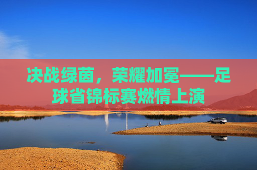 决战绿茵，荣耀加冕——足球省锦标赛燃情上演