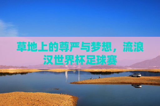 草地上的尊严与梦想，流浪汉世界杯足球赛