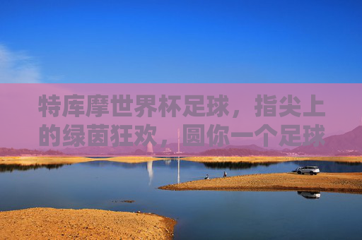 特库摩世界杯足球，指尖上的绿茵狂欢，圆你一个足球梦