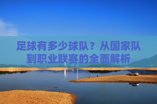 足球有多少球队？从国家队到职业联赛的全面解析