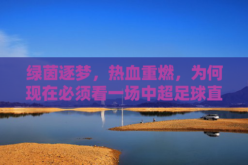 绿茵逐梦，热血重燃，为何现在必须看一场中超足球直播