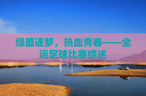 绿茵逐梦，热血青春——全运足球比赛综述