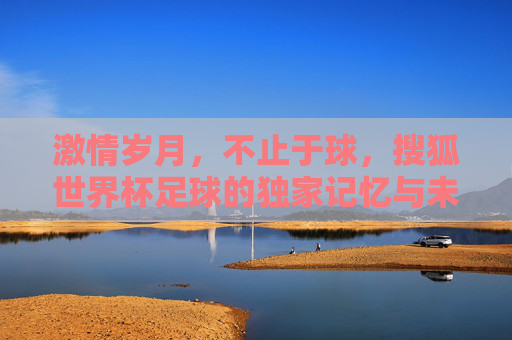 激情岁月，不止于球，搜狐世界杯足球的独家记忆与未来展望