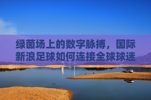 绿茵场上的数字脉搏，国际新浪足球如何连接全球球迷