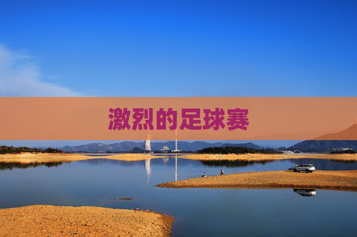 激烈的足球赛