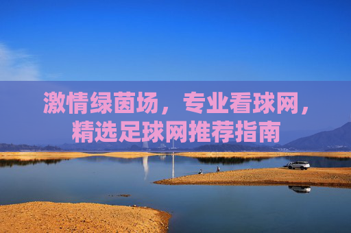 激情绿茵场，专业看球网，精选足球网推荐指南