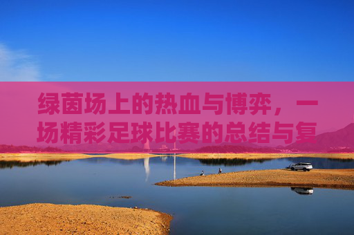 绿茵场上的热血与博弈，一场精彩足球比赛的总结与复盘
