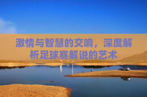 激情与智慧的交响，深度解析足球赛解说的艺术
