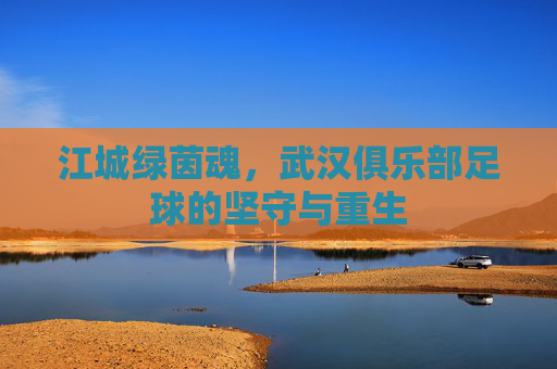 江城绿茵魂，武汉俱乐部足球的坚守与重生