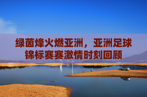 绿茵烽火燃亚洲，亚洲足球锦标赛赛激情时刻回顾