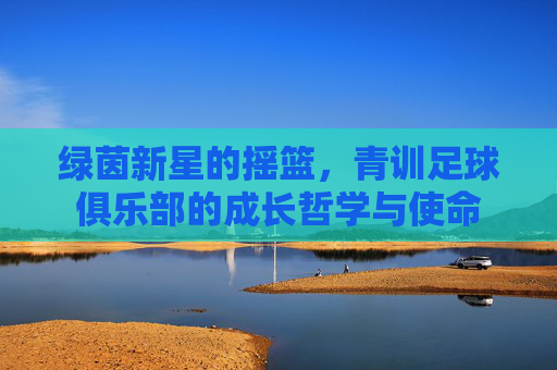 绿茵新星的摇篮，青训足球俱乐部的成长哲学与使命