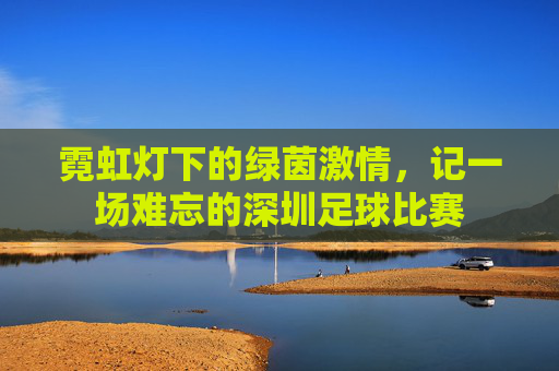 霓虹灯下的绿茵激情，记一场难忘的深圳足球比赛