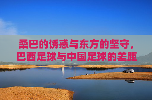 桑巴的诱惑与东方的坚守，巴西足球与中国足球的差距与启示