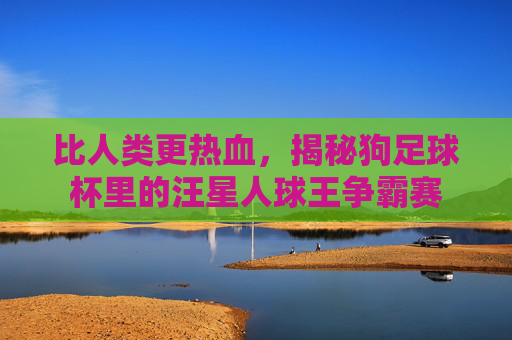 比人类更热血，揭秘狗足球杯里的汪星人球王争霸赛