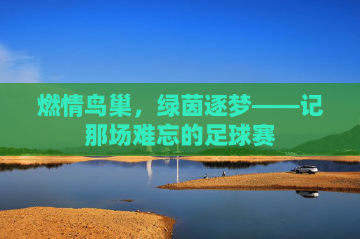 燃情鸟巢，绿茵逐梦——记那场难忘的足球赛