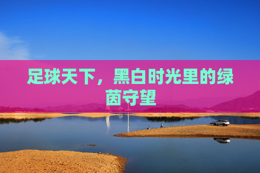 足球天下，黑白时光里的绿茵守望