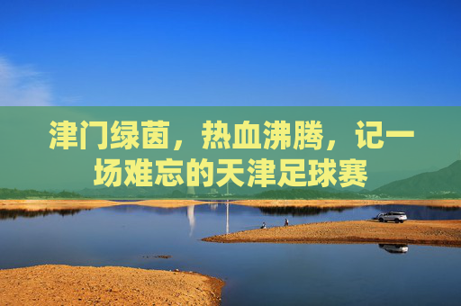 津门绿茵，热血沸腾，记一场难忘的天津足球赛